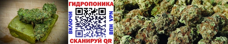 купить Сланцы Canna-Cookies марихуана
