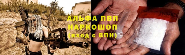 кокс Баксан