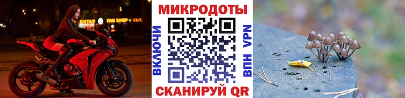 Галлюциногенные грибы мицелий  Сланцы 