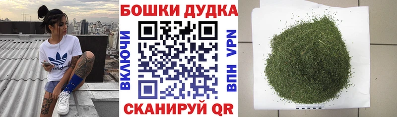 Конопля OG Kush  Сланцы 
